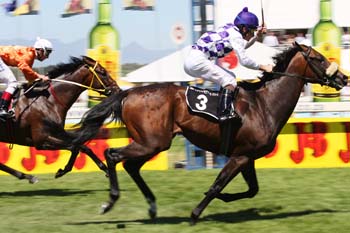 Big City Man Defeating Bluemambo in Cape Derby (From www.sahorseracing.com)
