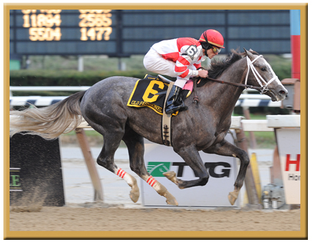 OLD FASHIONED WINNING THE G2 REMSEN STAKES