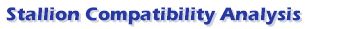 scalabel.jpg (4008 bytes)