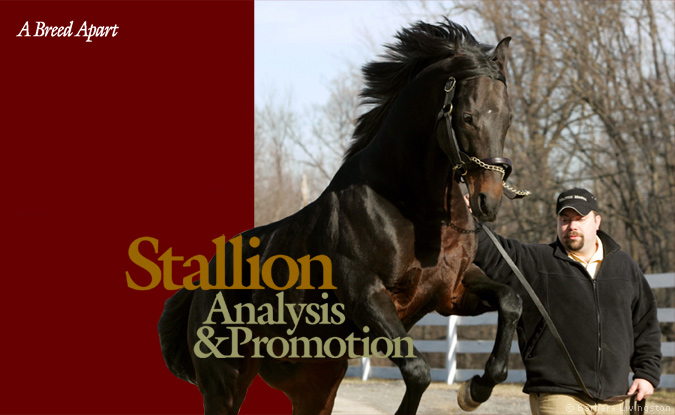 Image © 2006 Barbara Livingston Horse with trainer - Image © 2006 Barbara Livingston