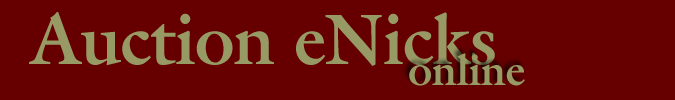 Auction eNicks online