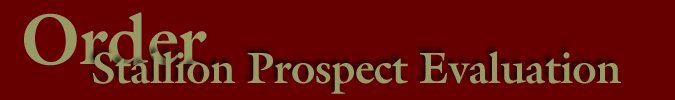 Order Stallion Prospect Evaluation