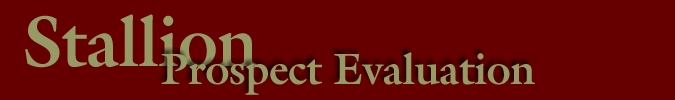 Stallion Prospect Evaluation