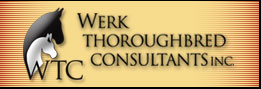 Werk Thoroughbred Consultants